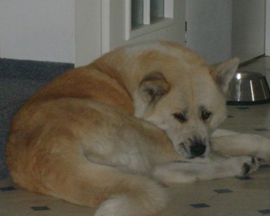 BENTENA HEZKÁ CHVILKA